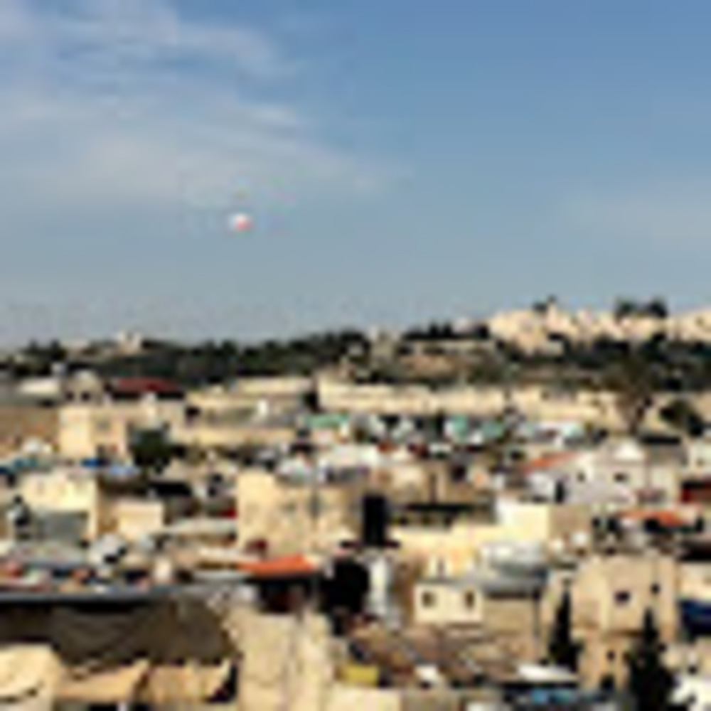 Meet your Posher, Rachael